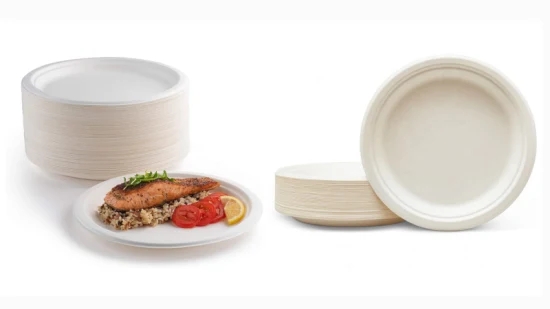 Bagasse cutlery